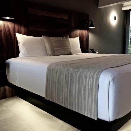 San José del Cabo 3 Incredible King Suite Rooms In Boutique Hotel מראה חיצוני תמונה