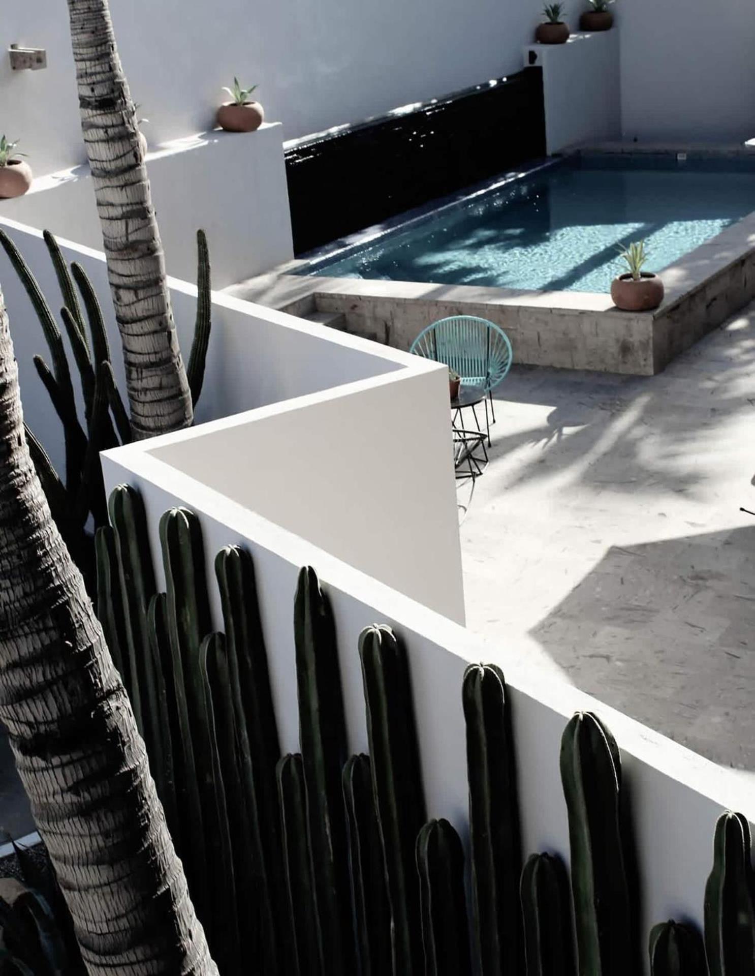 San José del Cabo 3 Incredible King Suite Rooms In Boutique Hotel מראה חיצוני תמונה